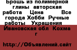 Брошь из полимерной глины, авторская работа. › Цена ­ 900 - Все города Хобби. Ручные работы » Украшения   . Ивановская обл.,Кохма г.